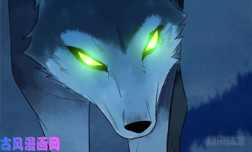 毒步天下：特工神医小兽妃34