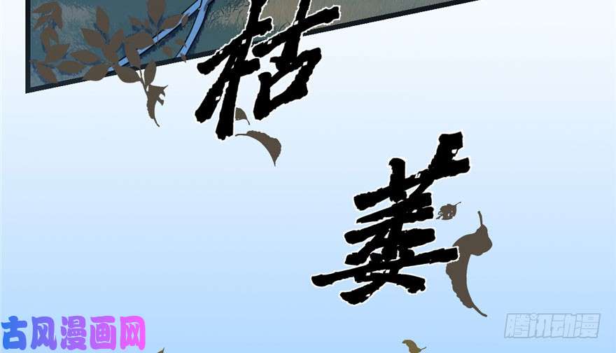 毒步天下：特工神医小兽妃34