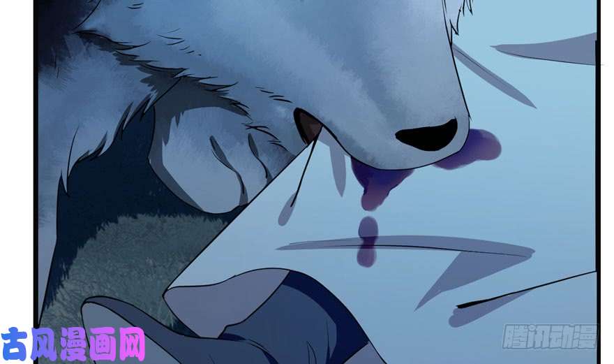 毒步天下：特工神医小兽妃34