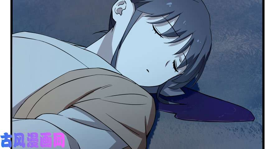 毒步天下：特工神医小兽妃34