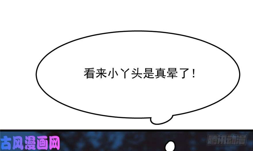 毒步天下：特工神医小兽妃34