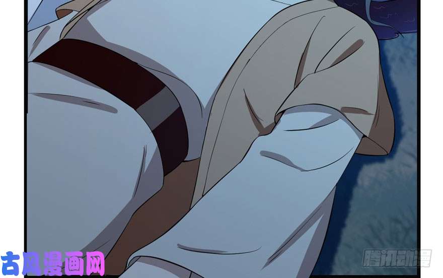 毒步天下：特工神医小兽妃34