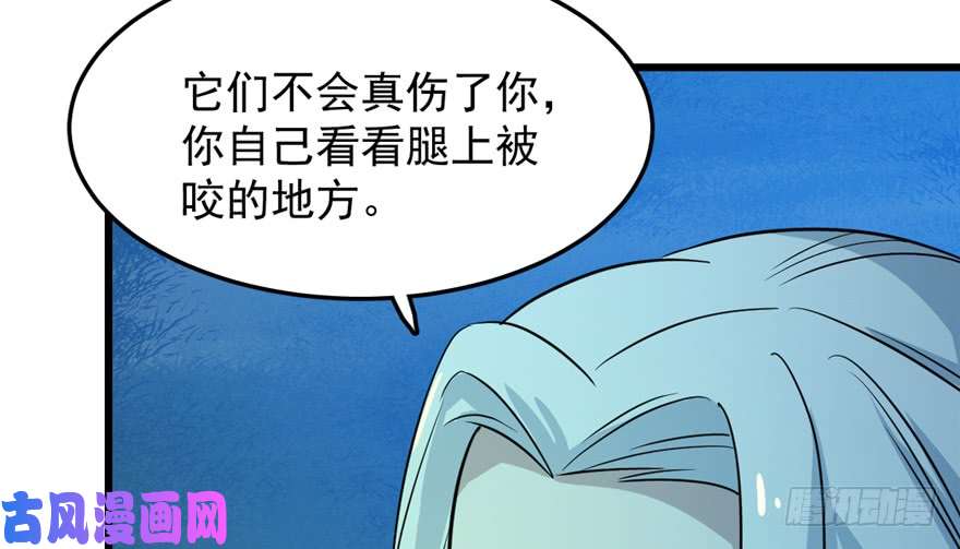 毒步天下：特工神医小兽妃35