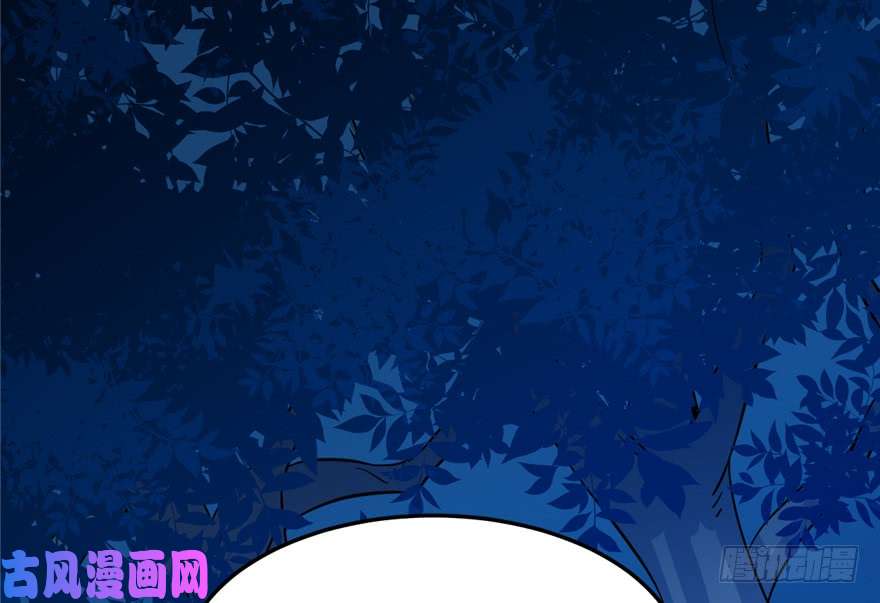 毒步天下：特工神医小兽妃36