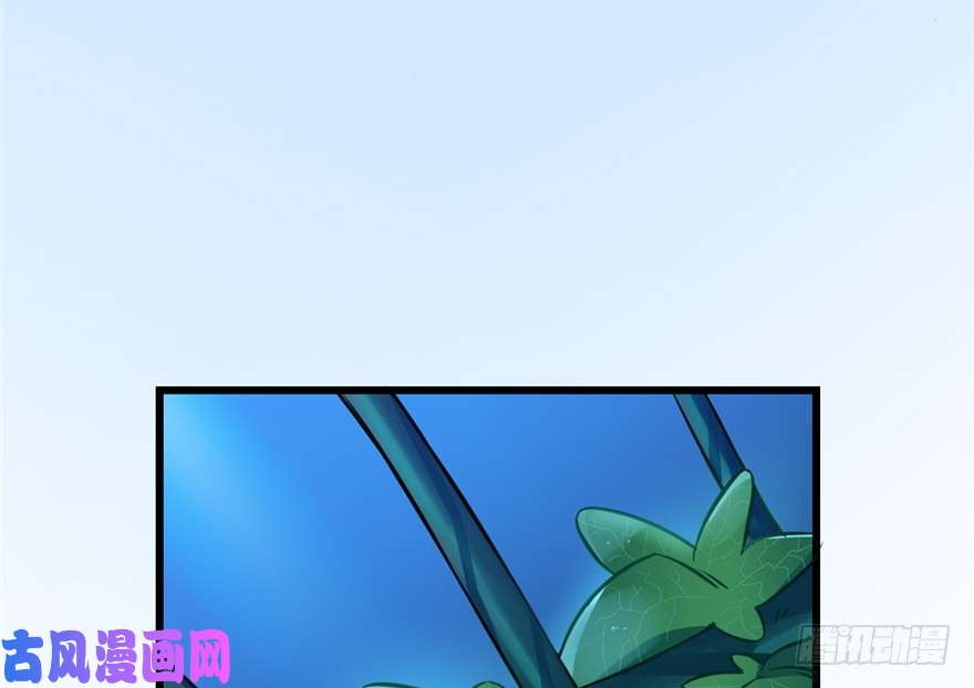 毒步天下：特工神医小兽妃36