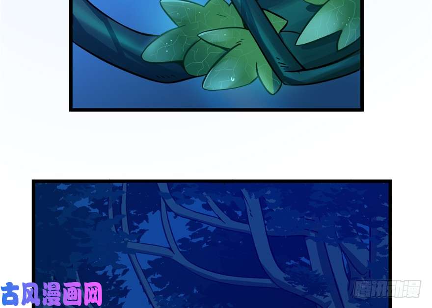 毒步天下：特工神医小兽妃36