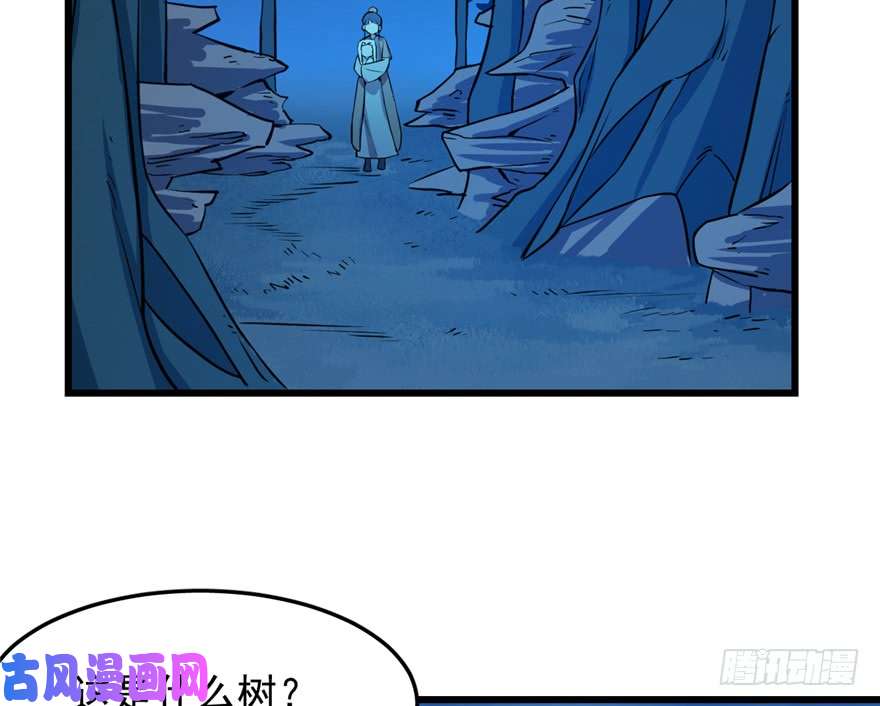 毒步天下：特工神医小兽妃36