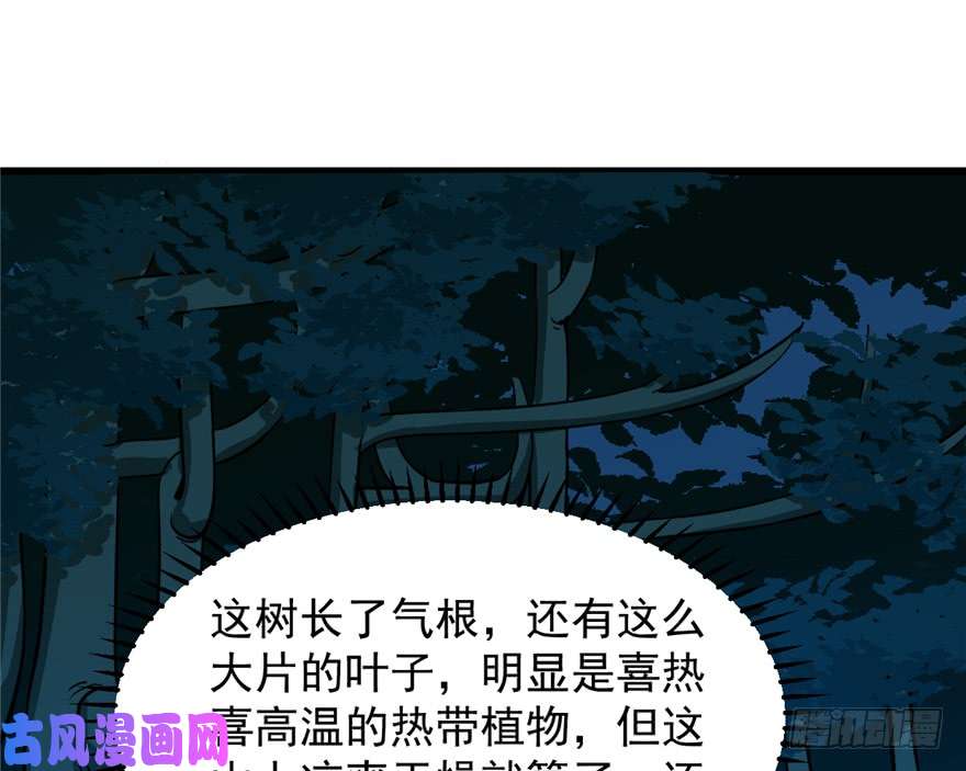 毒步天下：特工神医小兽妃36