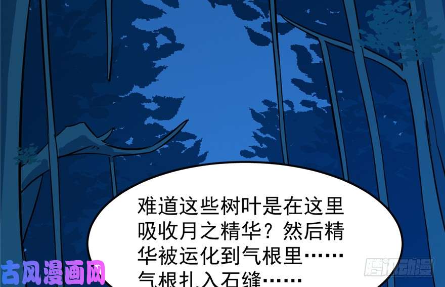 毒步天下：特工神医小兽妃36