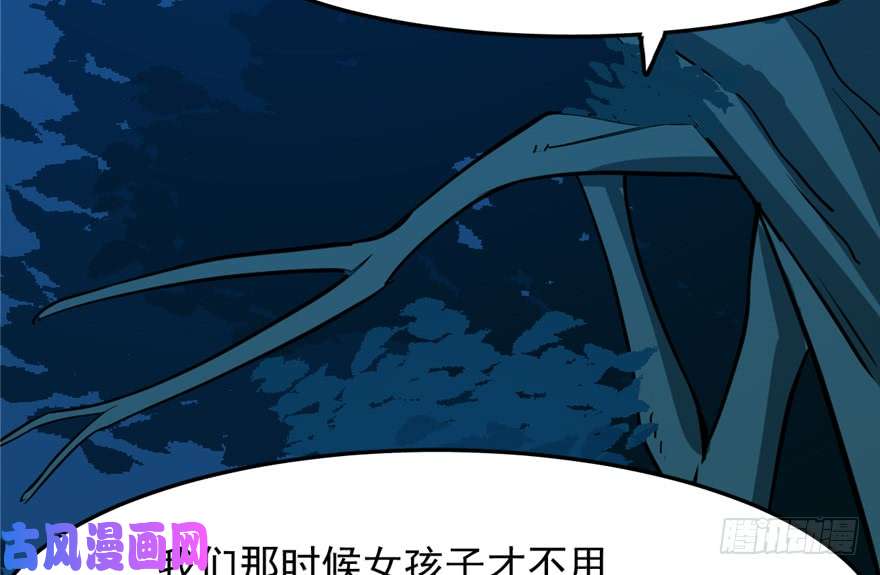 毒步天下：特工神医小兽妃36