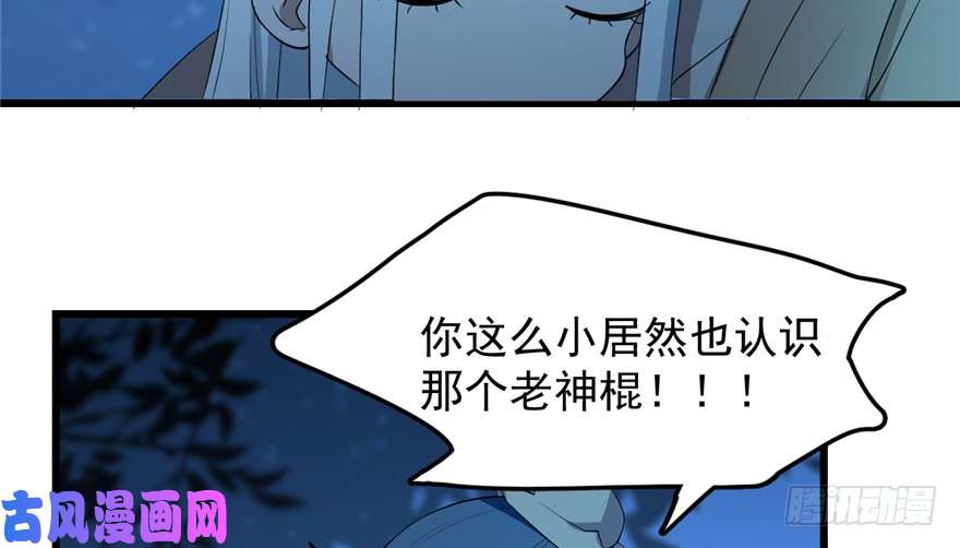 毒步天下：特工神医小兽妃37