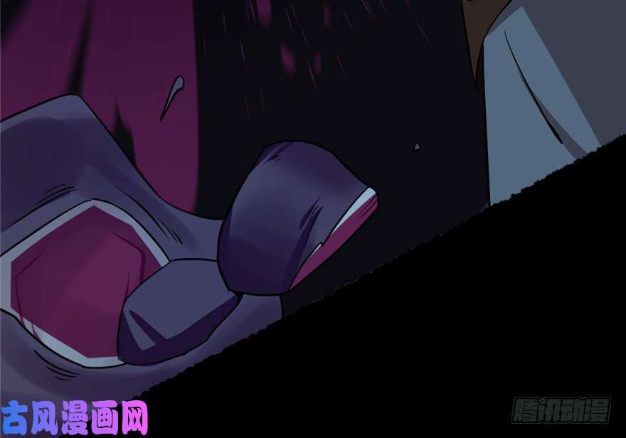 毒步天下：特工神医小兽妃39