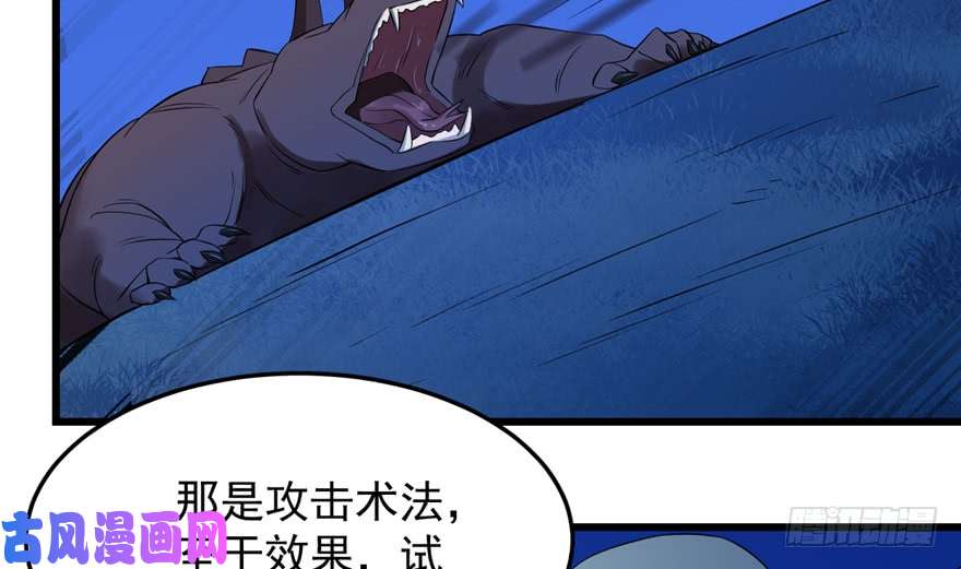 毒步天下：特工神医小兽妃38