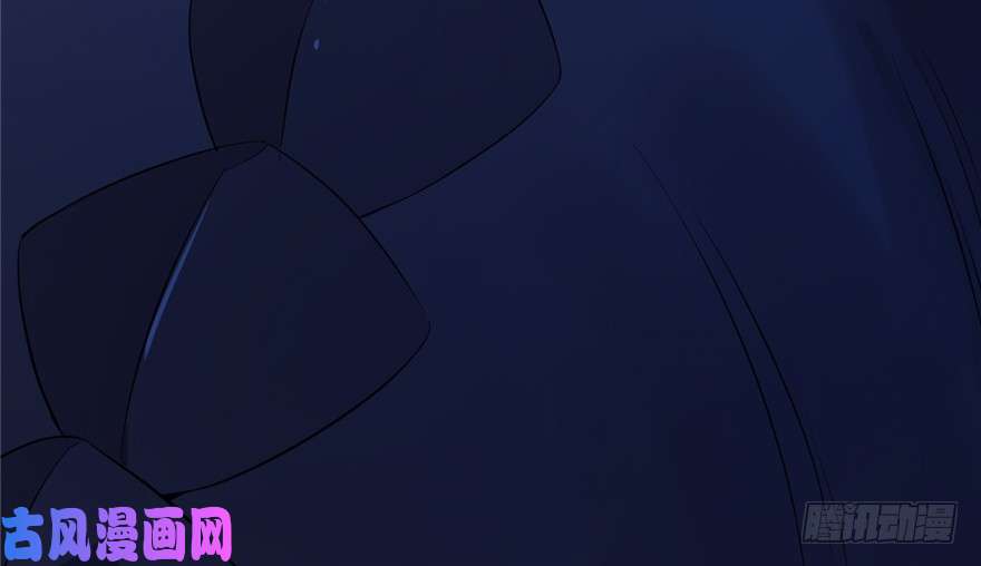 毒步天下：特工神医小兽妃38