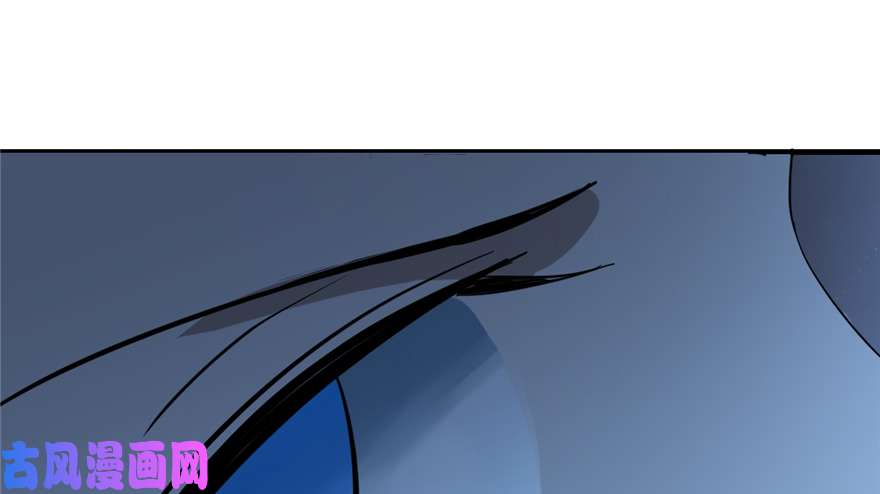 毒步天下：特工神医小兽妃38