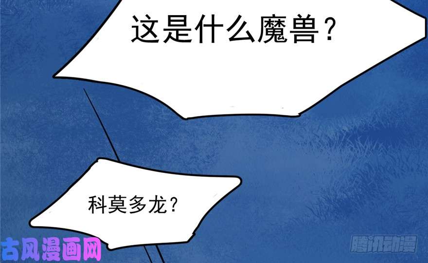 毒步天下：特工神医小兽妃38