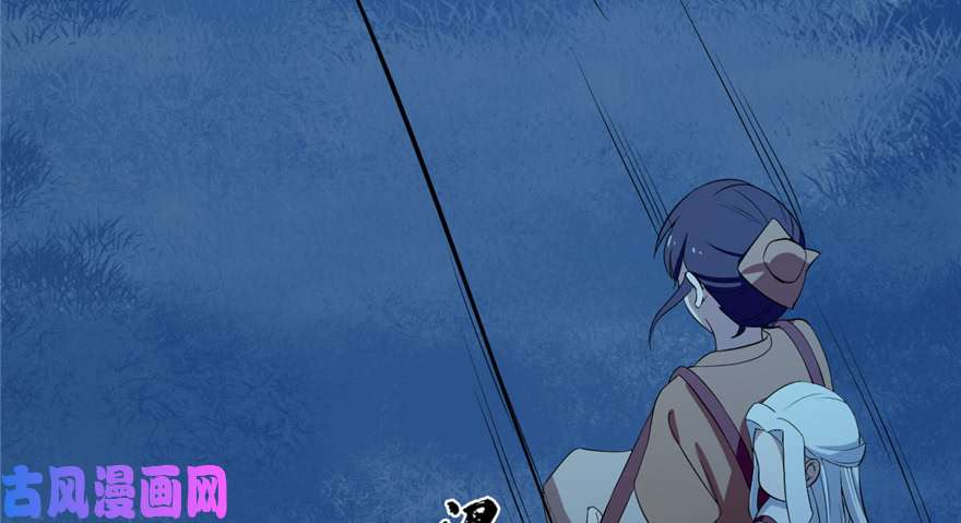 毒步天下：特工神医小兽妃38