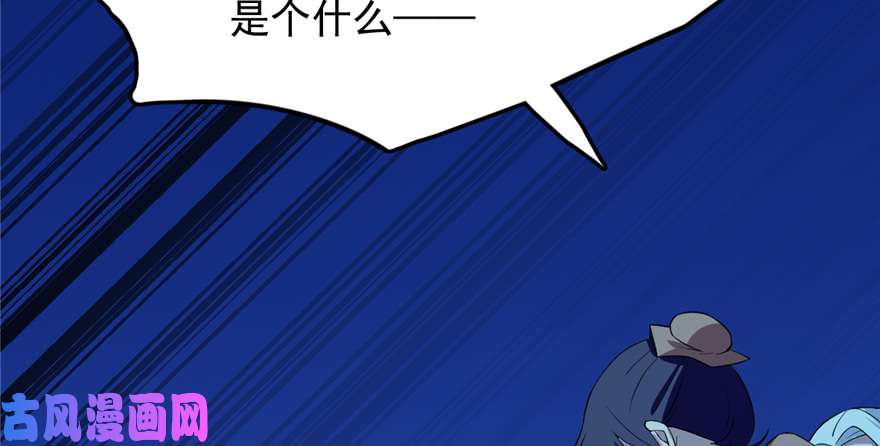 毒步天下：特工神医小兽妃38