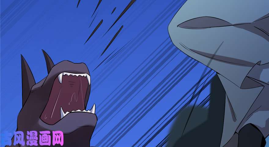 毒步天下：特工神医小兽妃38