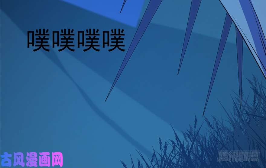 毒步天下：特工神医小兽妃38