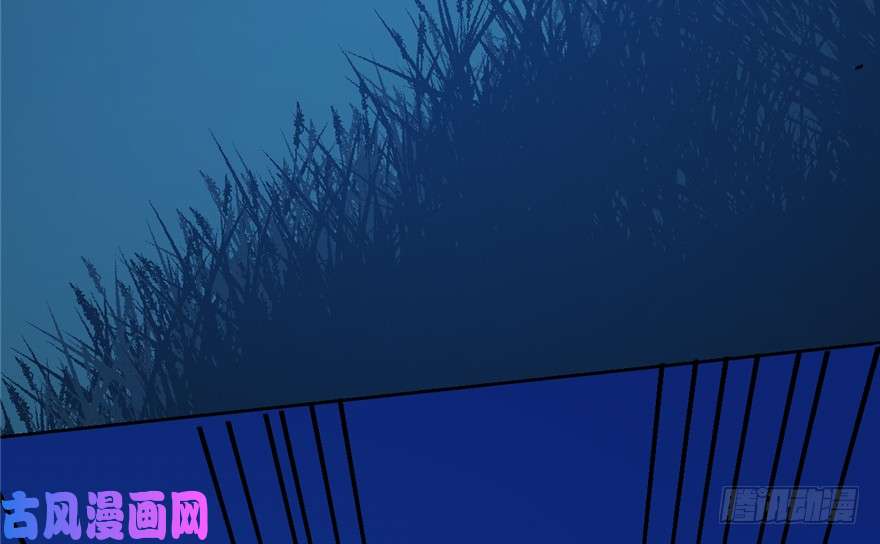 毒步天下：特工神医小兽妃38