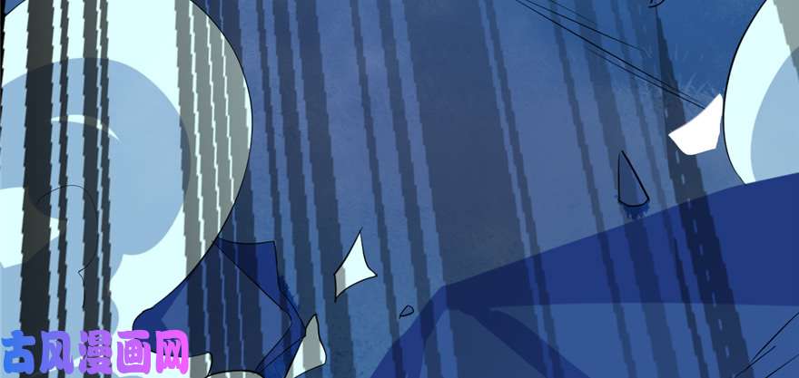 毒步天下：特工神医小兽妃38