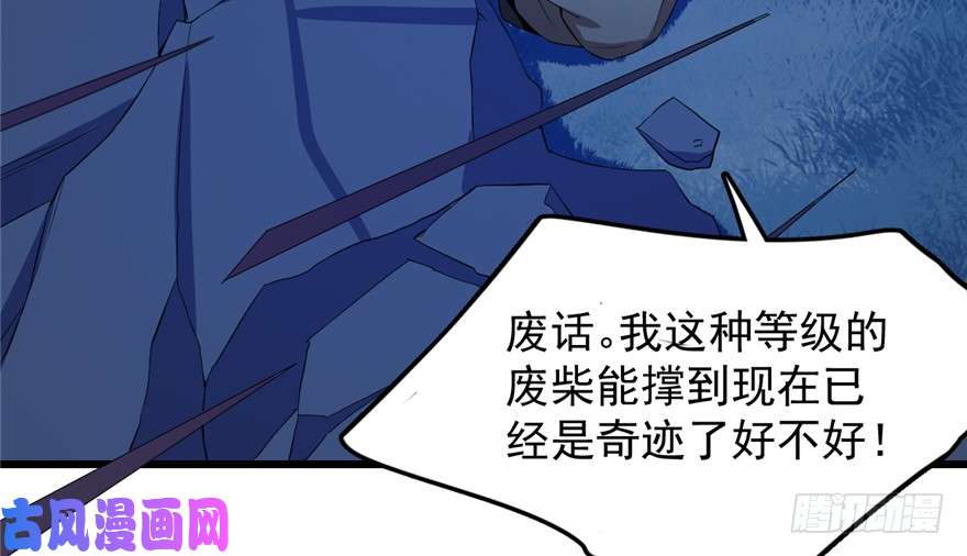 毒步天下：特工神医小兽妃38