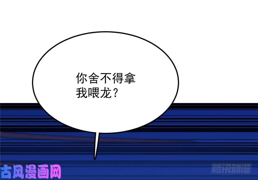 毒步天下：特工神医小兽妃38