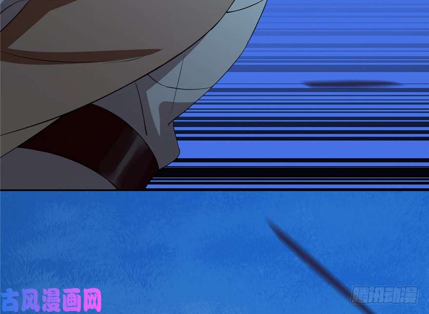 毒步天下：特工神医小兽妃38