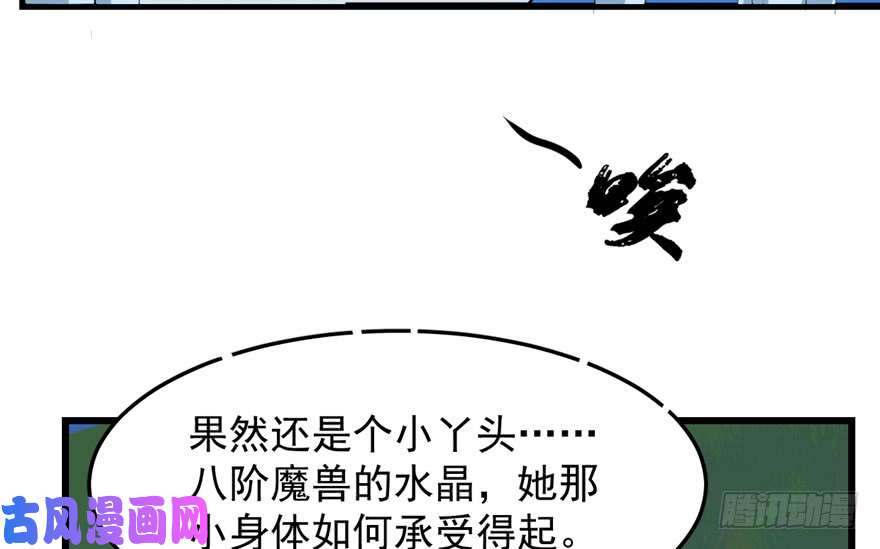 毒步天下：特工神医小兽妃40