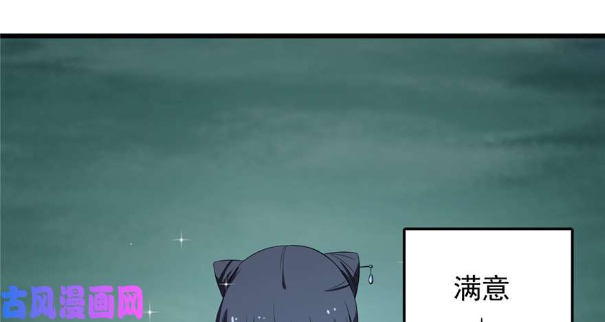 毒步天下：特工神医小兽妃40