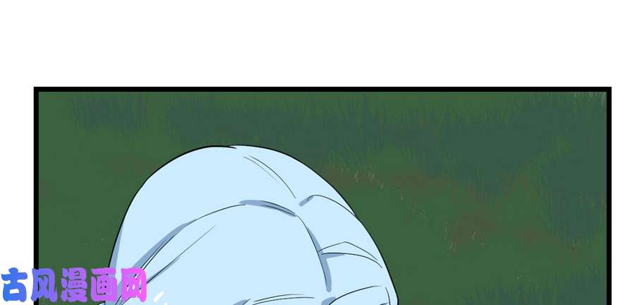 毒步天下：特工神医小兽妃40