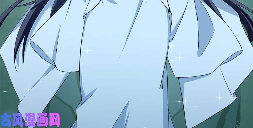 毒步天下：特工神医小兽妃40