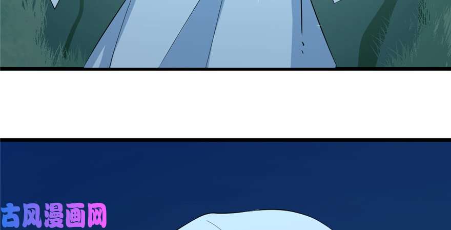 毒步天下：特工神医小兽妃40