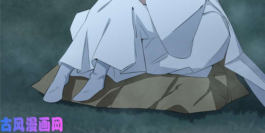 毒步天下：特工神医小兽妃40