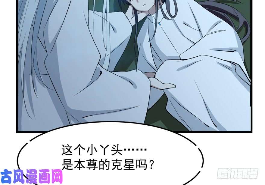 毒步天下：特工神医小兽妃40