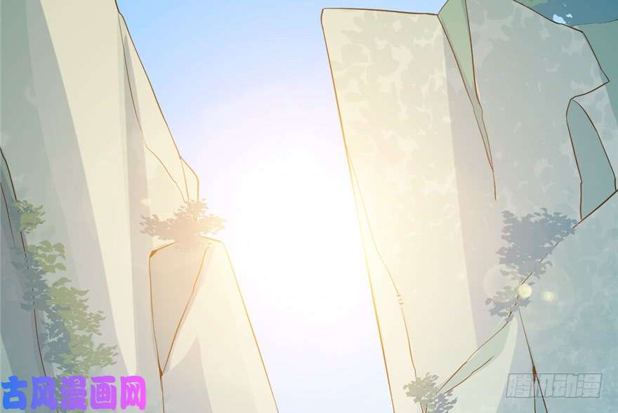 毒步天下：特工神医小兽妃40