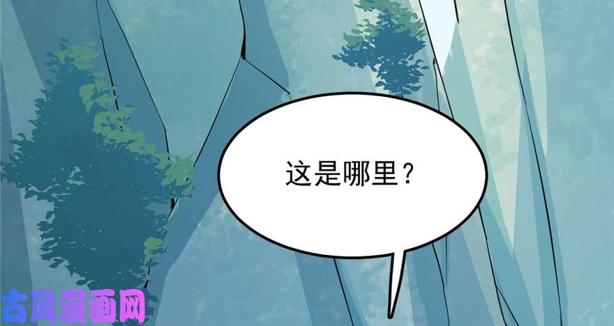 毒步天下：特工神医小兽妃40