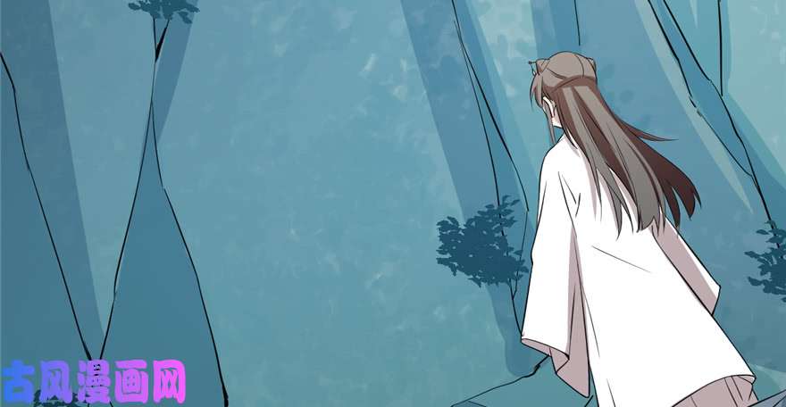 毒步天下：特工神医小兽妃40