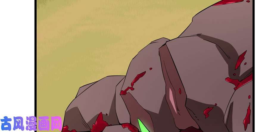 毒步天下：特工神医小兽妃40