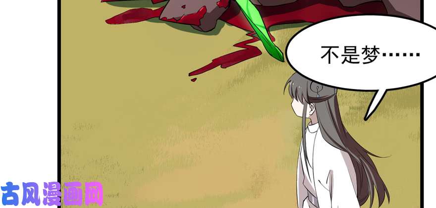 毒步天下：特工神医小兽妃40