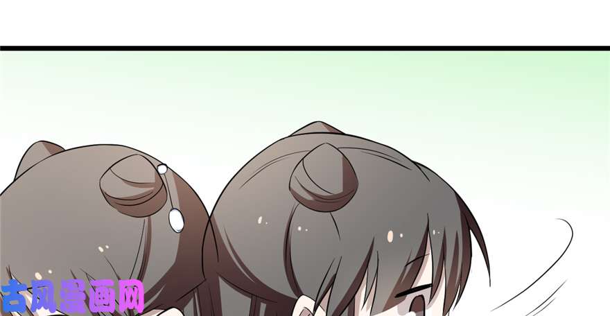 毒步天下：特工神医小兽妃40