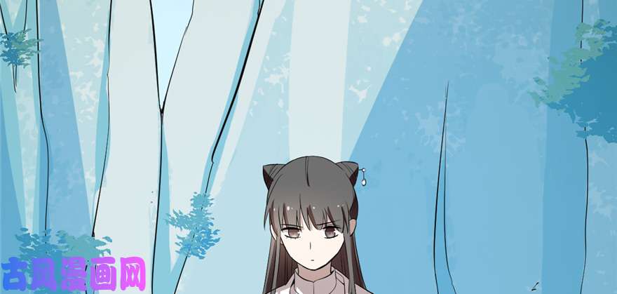 毒步天下：特工神医小兽妃40