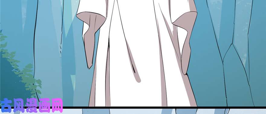 毒步天下：特工神医小兽妃40