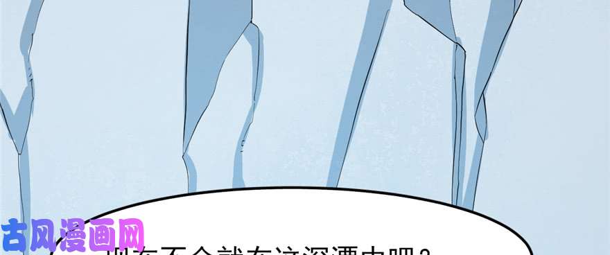 毒步天下：特工神医小兽妃40