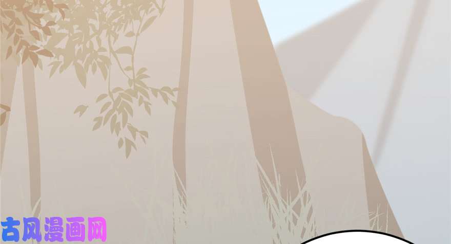 毒步天下：特工神医小兽妃41