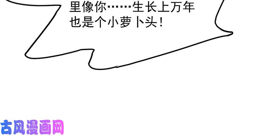 毒步天下：特工神医小兽妃41