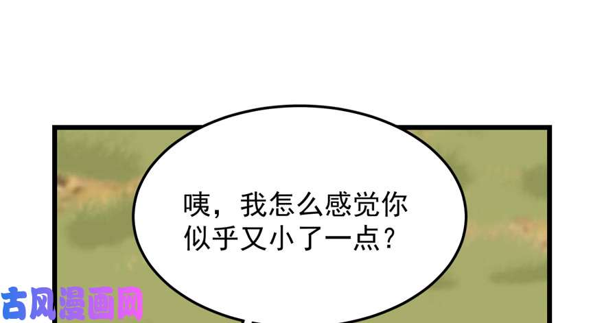 毒步天下：特工神医小兽妃41