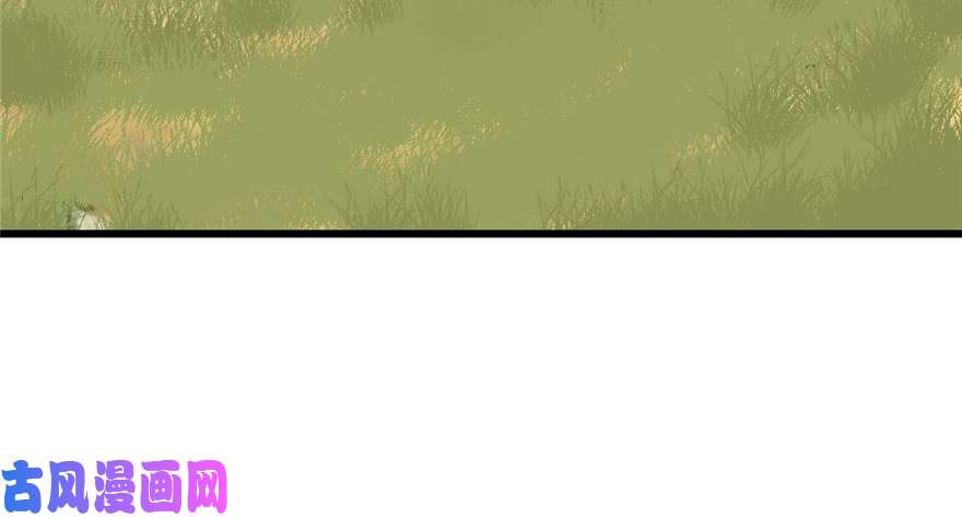 毒步天下：特工神医小兽妃41