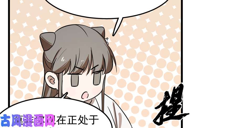 毒步天下：特工神医小兽妃41